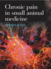 Image for Chronic pain in small animal medicine