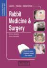 Image for Self-assessment colour review of rabbit medicine and surgery