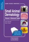 Image for Small animal dermatology.: (Advanced cases)