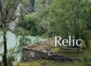 Image for Relic : Land/water and the Visual Arts