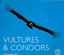 Image for Vultures &amp; condors