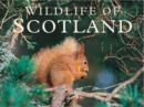 Image for Wildlife of Scotland