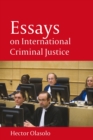 Image for Essays on international criminal justice