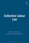 Image for Collective labour law