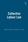 Image for Collective labour law