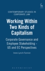 Image for Working Within Two Kinds of Capitalism