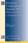 Image for European competition law annual 2003  : what is an abuse of a dominant position?