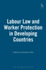 Image for Labour law and worker protection in developing countries