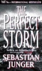 Image for The perfect storm  : a true story of man against the sea