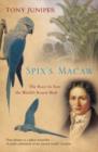 Image for Spix’s Macaw