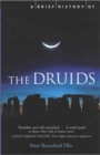 Image for A brief history of the Druids
