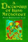 Image for A Dictionary of Irish Mythology