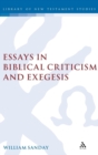 Image for Essays in Biblical Criticism and Exegesis