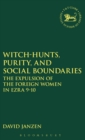 Image for Witch-hunts, purity and social boundaries  : the expulsion of the foreign women in Ezra 9-10