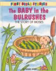 Image for The Baby in the Bulrushes