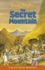 Image for The Secret Mountain