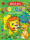 Image for Junior Art Colour By Numbers: Lion