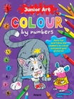 Image for Junior Art Colour By Numbers: Cat