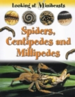 Image for MINIBEASTS SPIDERS CENTIPEDES