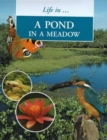 Image for Life in a pond in a meadow
