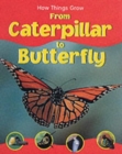 Image for From caterpillar to butterfly