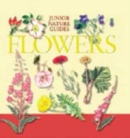 Image for JR NATURE GUIDES WILD FLOWERS