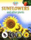 Image for Sunflowers and other plants
