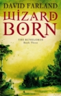 Image for Wizard born