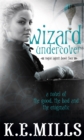 Image for Wizard undercover