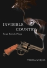 Image for Invisible country  : four Polish plays