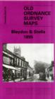 Image for Blaydon and Stella 1895 : Tyneside Sheet 28