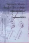 Image for A Gaelic dictionary  : specially designed for beginners and for use in schools