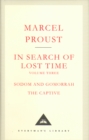 Image for In Search Of Lost Time Volume 3