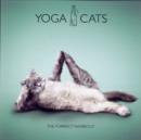 Image for Yoga cats