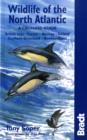 Image for Wildlife of the North Atlantic  : a cruising guide