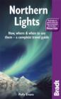 Image for Northern lights  : a practical travel guide