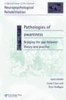 Image for Pathologies of Awareness: Bridging the Gap between Theory and Practice