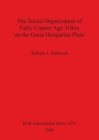 Image for The Social Organization of Early Copper Age Tribes on the Great Hungarian Plain
