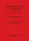 Image for Siedlungsgenese im Bereich des Hambacher Forstes  1.-4. Jh. N. Chr. - Hambach 512 und Hambach 516