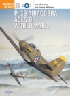 Image for P-39 Airacobra Aces of World War 2