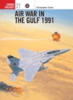 Image for Air war in the Gulf 1991