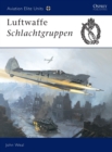 Image for Luftwaffe Schlacthgruppen