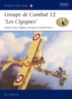 Image for Groupe de Combat 12, &#39;Les Cigognes&#39;  : France&#39;s ace fighter group in World War I