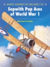Image for Sopwith Pup aces of World War I