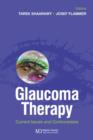 Image for Glaucoma  : current issues and controversies