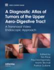 Image for A diagnostic atlas of tumors of the upper aero-digestive tract: a transnasal video endoscopic approach