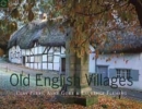 Image for Old English villages