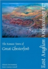 Image for The Roman town of Great Chesterford