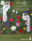 Image for Voicing psychotic experiences  : a reconsideration of recovery and diversity