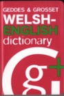 Image for Welsh / English Dictionary